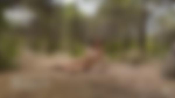 Screenshot #10 aus dem Film Anna L Nackte Waldnymphen-Shooting