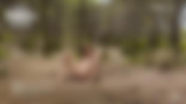 Screenshot #11 aus dem Film Anna L Nackte Waldnymphen-Shooting