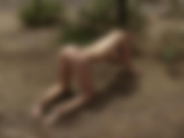 Obraz nr9 z galerii Anna L Leśna Wróżka